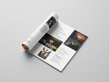 spis-mck-1 Strona spisu treści