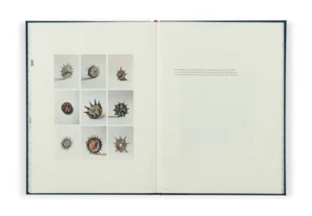 2025-06-23_11-08-16-076785 Rozkładówka z Encyclopaedii 2