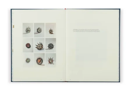 Rozkładówka z Encyclopaedii 2